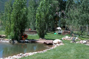 Main Pond & Barn